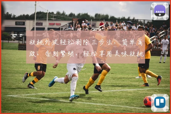 核桃外皮轻松剥除三步法，简单高效，告别繁琐，轻松享用美味核桃仁，三招搞定