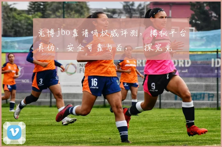 竞博jbo靠谱吗权威评测，揭秘平台真伪，安全可靠与否，一探究竟