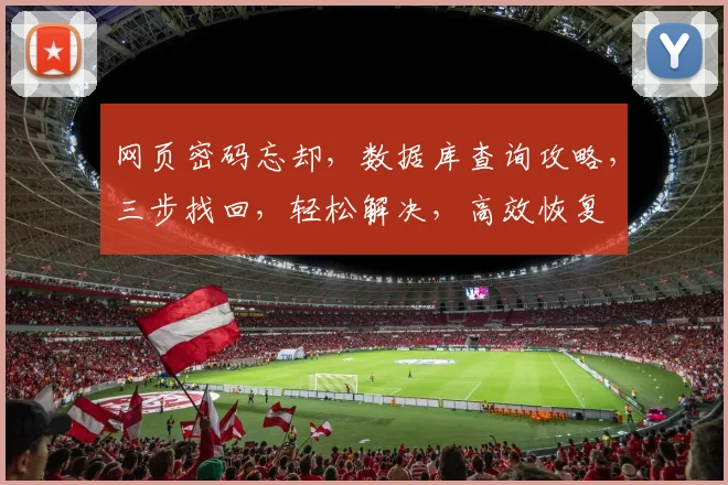 网页密码忘却，数据库查询攻略，三步找回，轻松解决，高效恢复