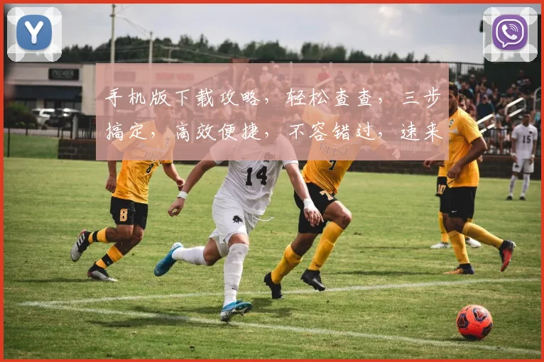 手机版下载攻略，轻松查查，三步搞定，高效便捷，不容错过，速来体验