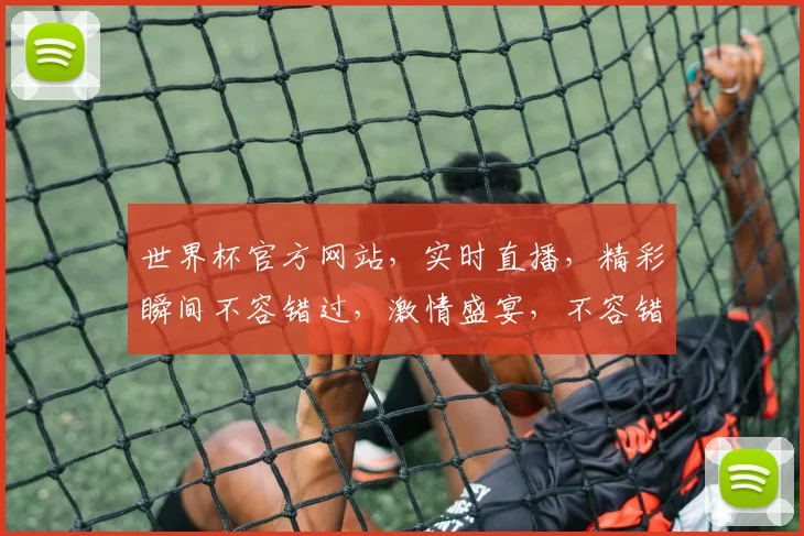 世界杯官方网站，实时直播，精彩瞬间不容错过，激情盛宴，不容错过