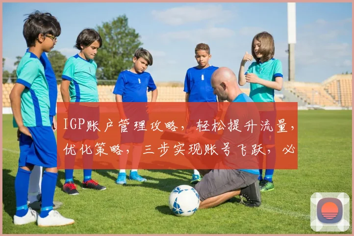 IGP账户管理攻略，轻松提升流量，优化策略，三步实现账号飞跃，必看